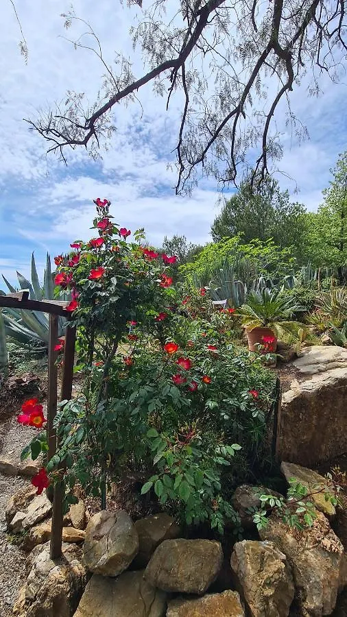Casa Merea 16 Costa d'Oneglia Italien